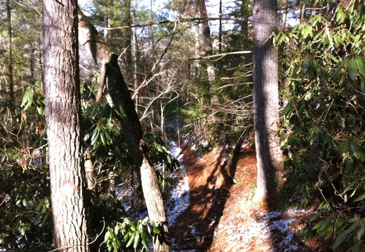 Ice on the Sheltowee Trace - 2